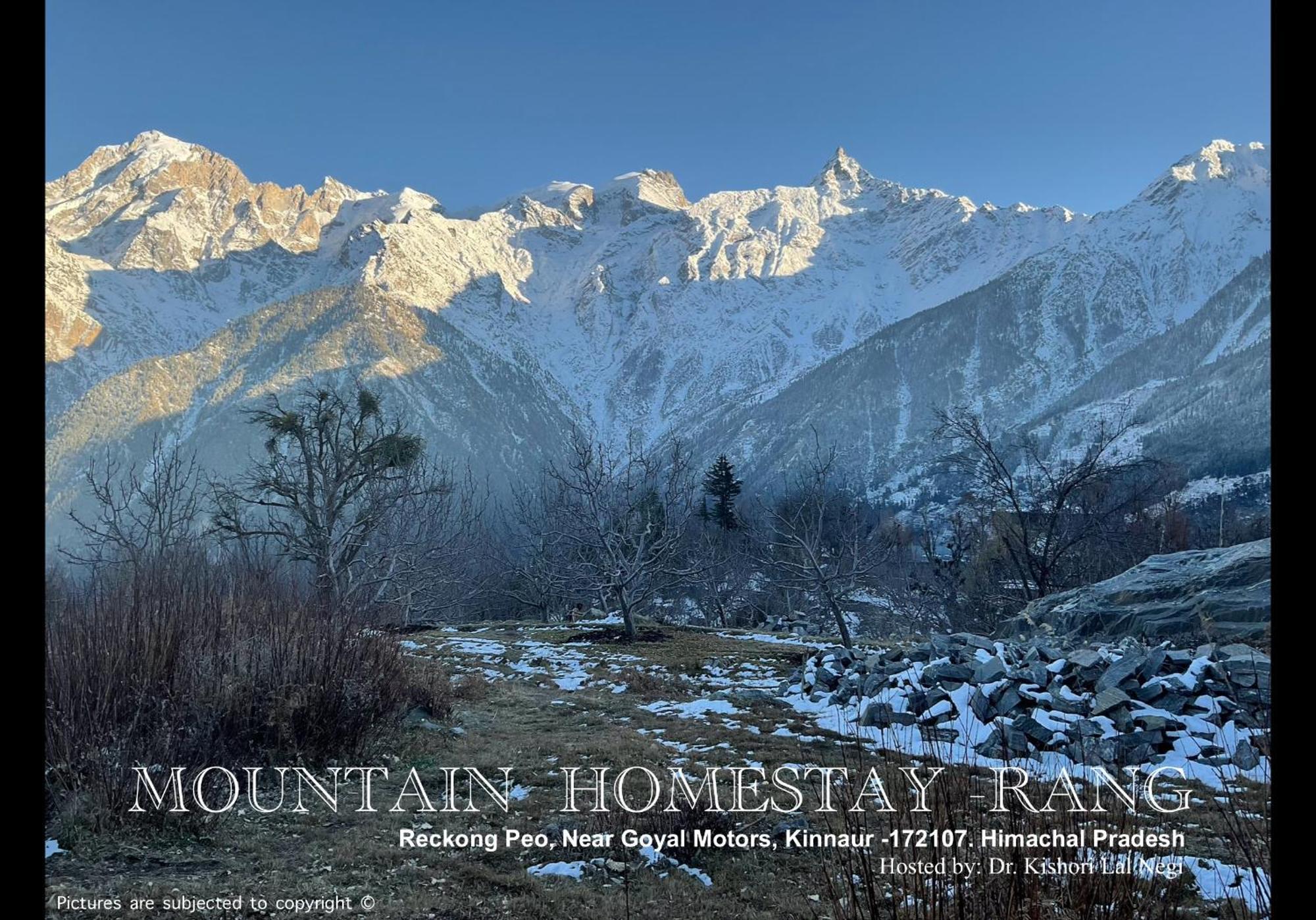 Mountain Home Stay -Rang, At Reckong Peo - Kalpa, Near Goyal Motors, Way To Petrol Pump At Itbp Quarters Exterior photo
